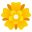 rosette