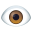 eye